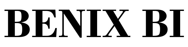 BENIX BI